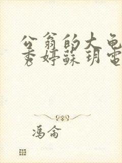 公翁的大龟挺进秀婷苏玥电影