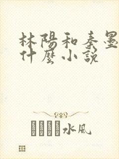 林阳和秦墨浓是什么小说