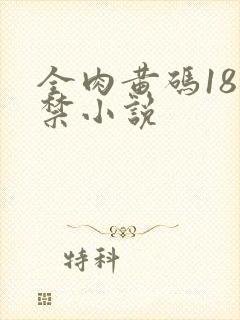 全肉黄码18无禁小说