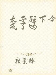 太子殿下今天破戒了吗