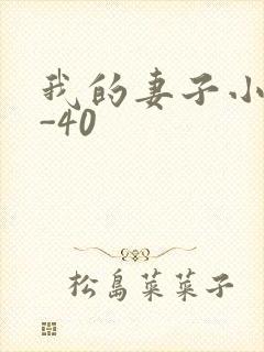 我的妻子小谨1-40
