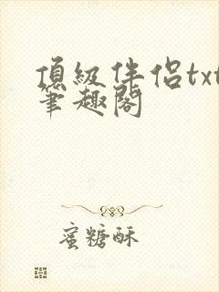 顶级伴侣txt笔趣阁