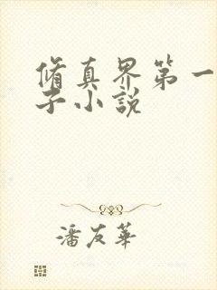 修真界第一病秧子小说