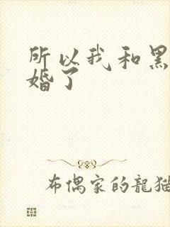 所以我和黑粉结婚了
