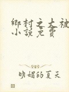 乡村之大被同眠小说免费