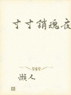 寸寸销魂夜春光