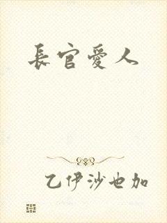 长官爱人