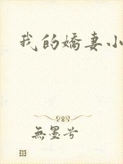 我的娇妻小说