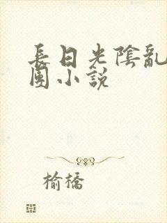 长日光阴乱作一团小说