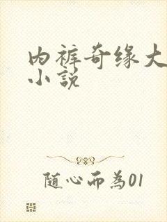 内裤奇缘大团结小说