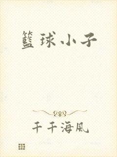 篮球小子