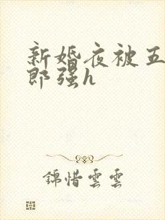 新婚夜被五个伴郎强h