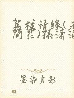 驾校情缘(老树开花)孙潇潇笔趣阁