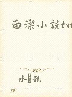 白洁小说txt