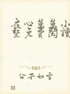 夜心万万小说完整免费阅读全文