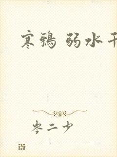 寒鸦 弱水千流