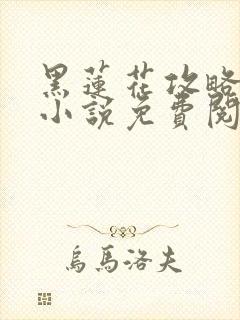 黑莲花攻略手册小说免费阅读全文