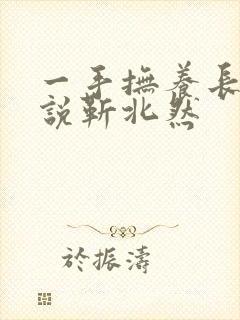 一手抚养长大小说靳北然