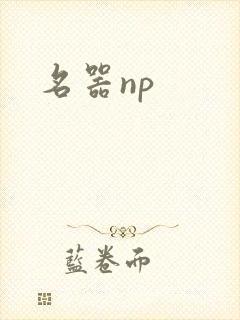 名器np