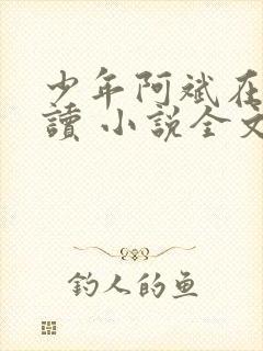 少年阿斌在线阅读 小说全文免费