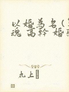 以婚为名 (军魂 高干 婚恋)