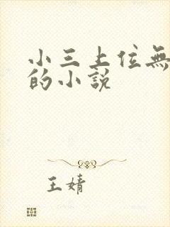 小三上位无三观的小说