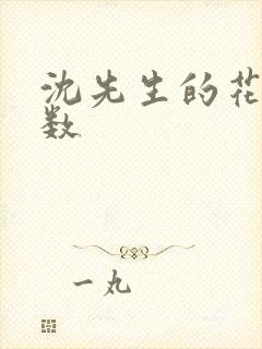 沈先生的花式调数