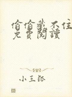 偷偷藏不住小说免费阅读