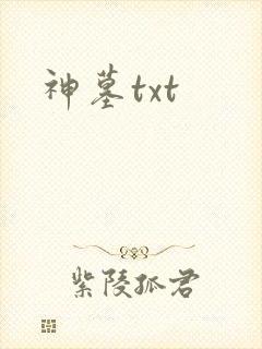 神墓txt