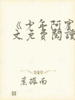 《少年阿宾》全文免费阅读