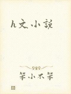 h文小说