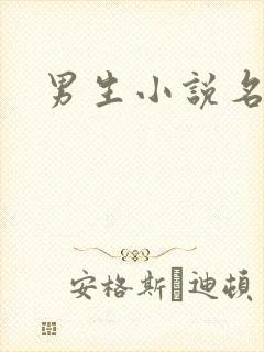男生小说名字
