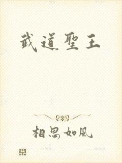 武道圣王