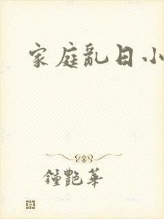 家庭乱日小说