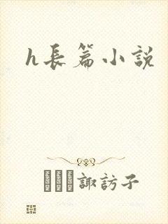 h长篇小说