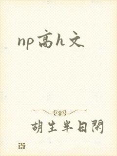 np高h文