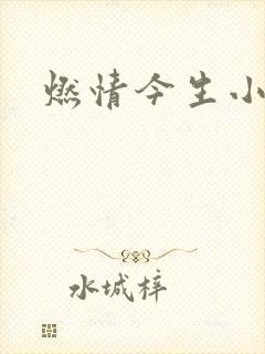 燃情今生小说