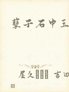 孽子石中玉
