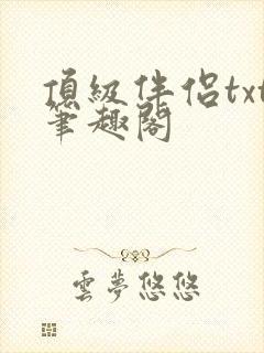 顶级伴侣txt笔趣阁