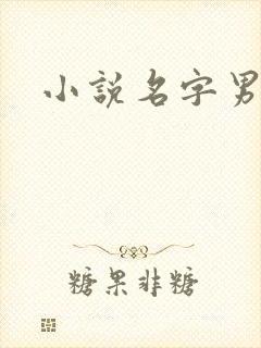 小说名字男生