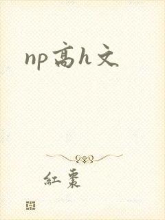 np高h文