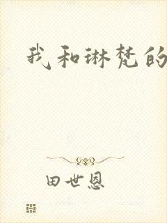 我和琳梵的故事