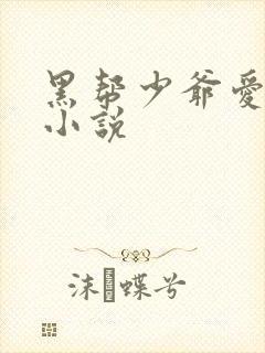 黑帮少爷爱上我小说