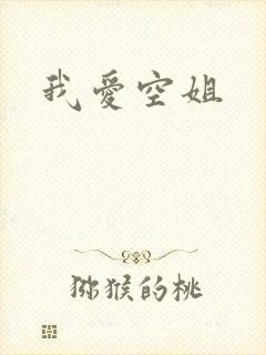 我爱空姐
