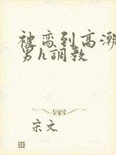 被脔到高潮的直男h调教