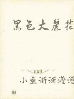 黑色大丽花图片