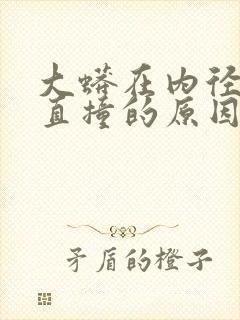 大蟒在内径横冲直撞的原因