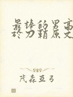 最棒的男高中生于刀鞘原文阅读