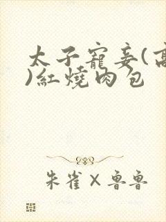 太子宠妾(高肉)红烧肉包