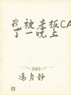 我被老板CAO了一晚上